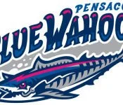 Field overhaul underway at Blue Wahoos Stadium
