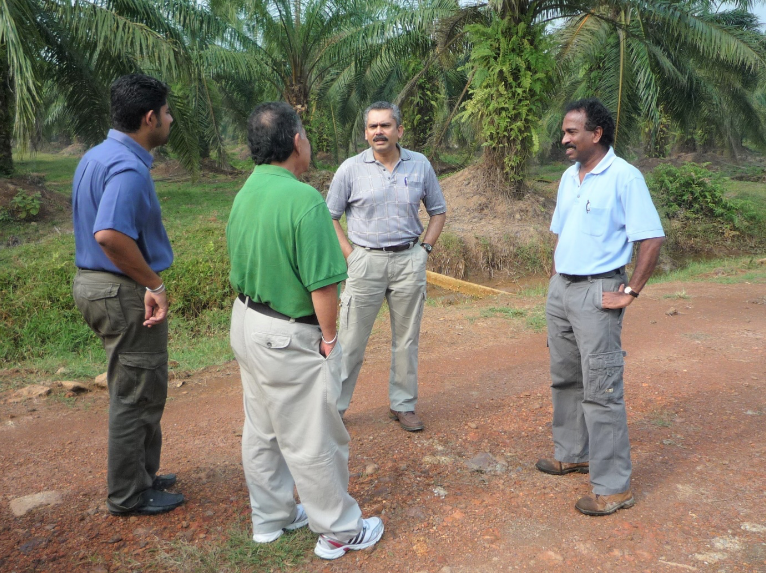   Disease Management Advisory  – Discussion on oil palm basal stem rot alleviation through soil mounding. 