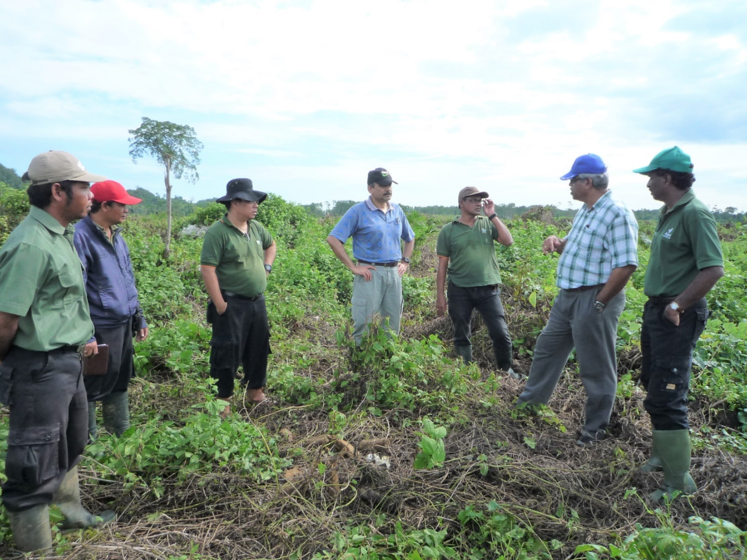   Green Field Development Advisory  – Field discussion pertaining to green field development for oil palm cultivation. 