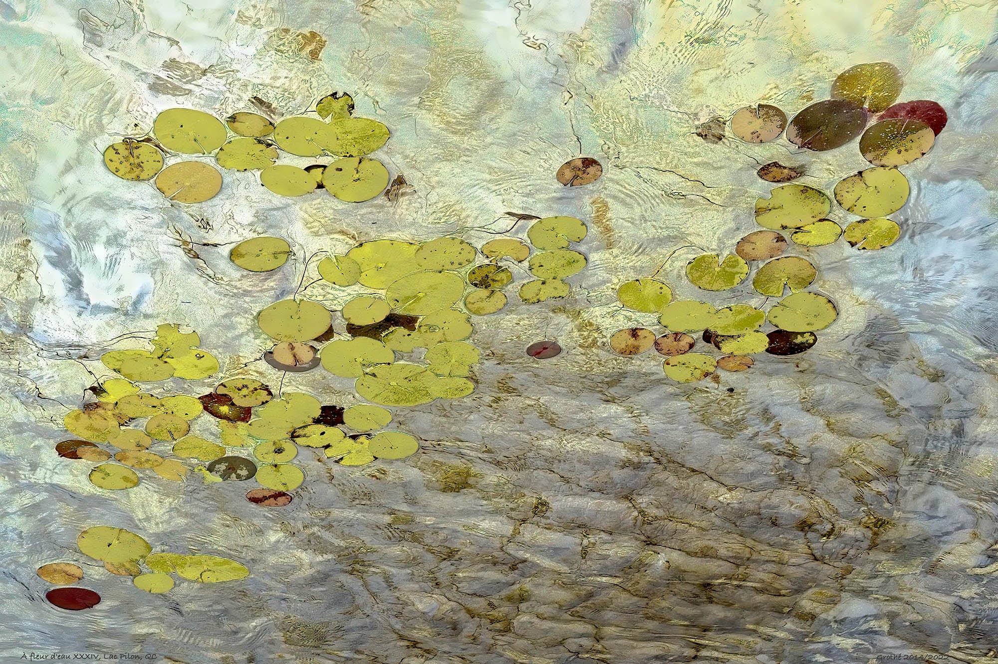À fleur d'eau XXXIV, Lac Pilon, QC (2014 - 2022) copie.jpg