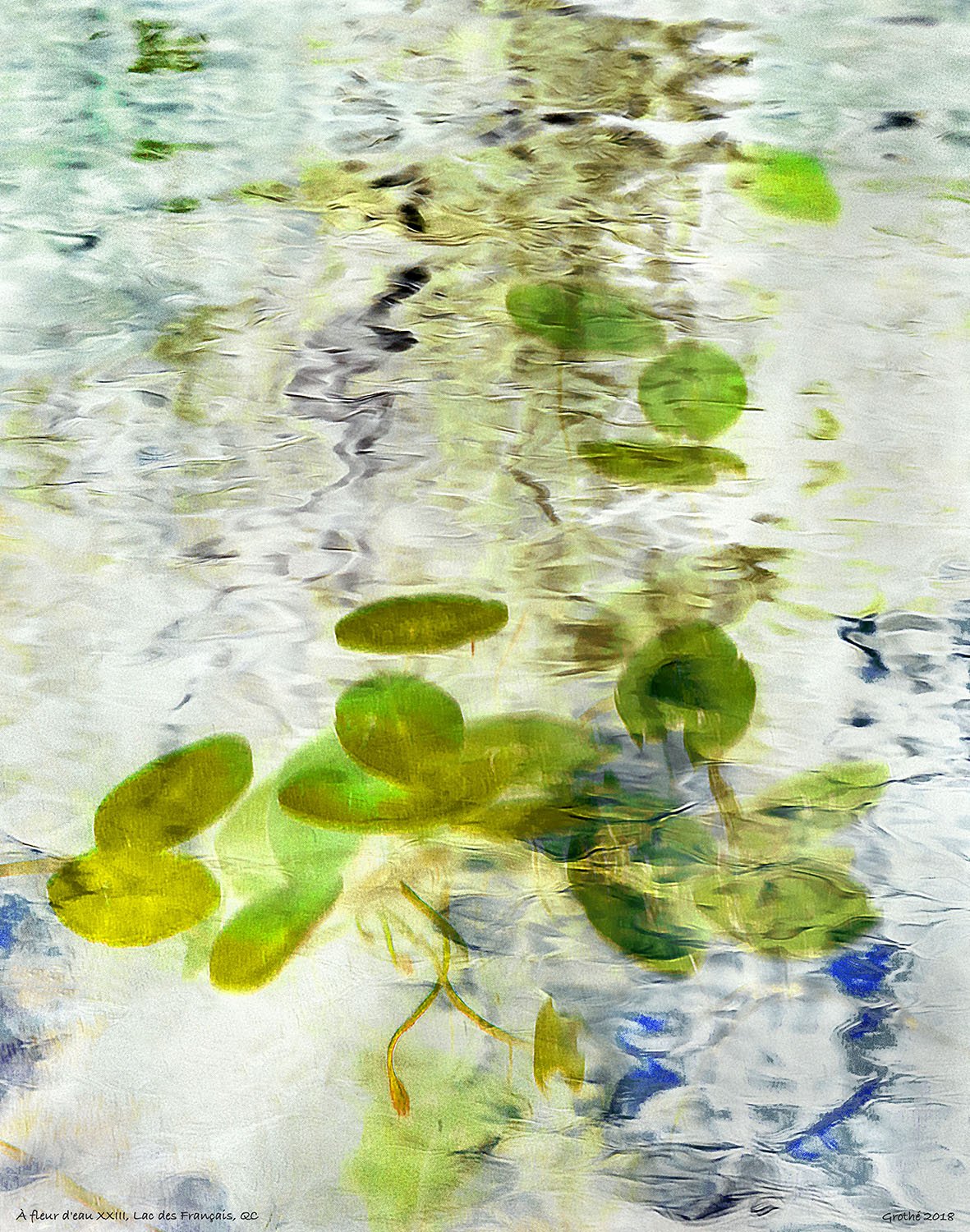 À fleur d'eau XXIII, Lac des Français, QC (2018)
