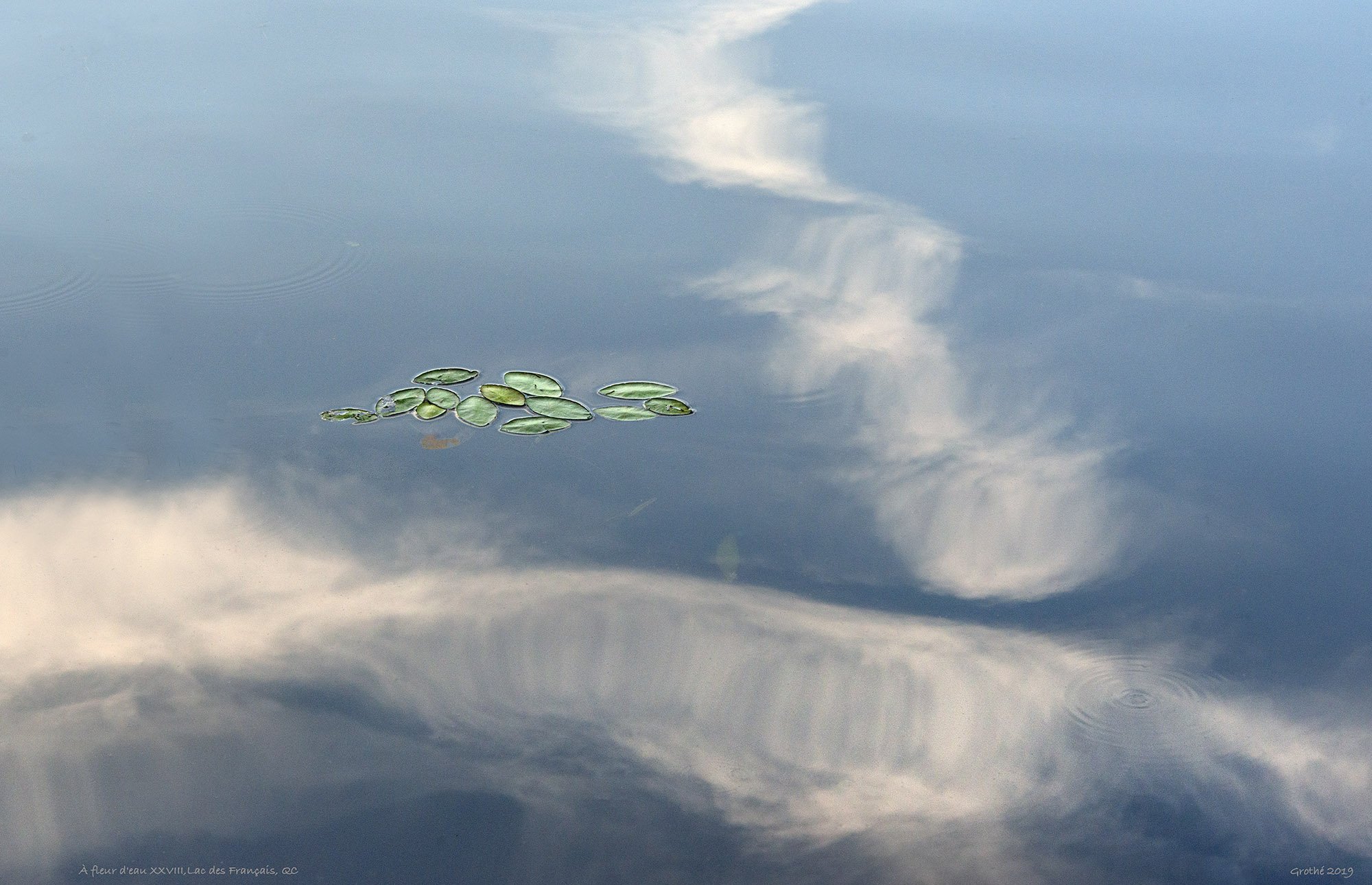 À fleur d'eau XXVIII,Lac des Français, QC (2019)