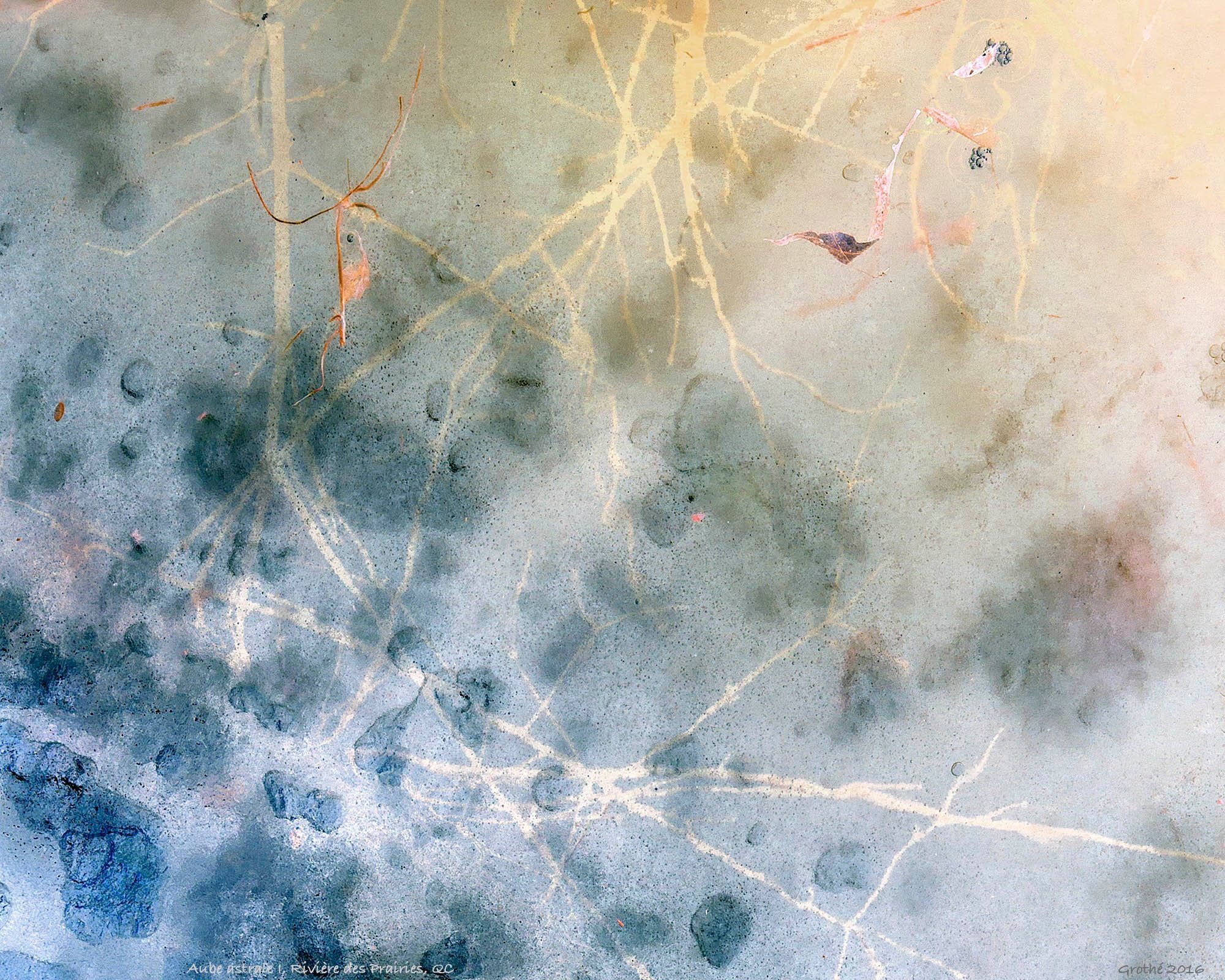 Aube astrale I, Rivière des Prairies, Montréal, QC (2016)