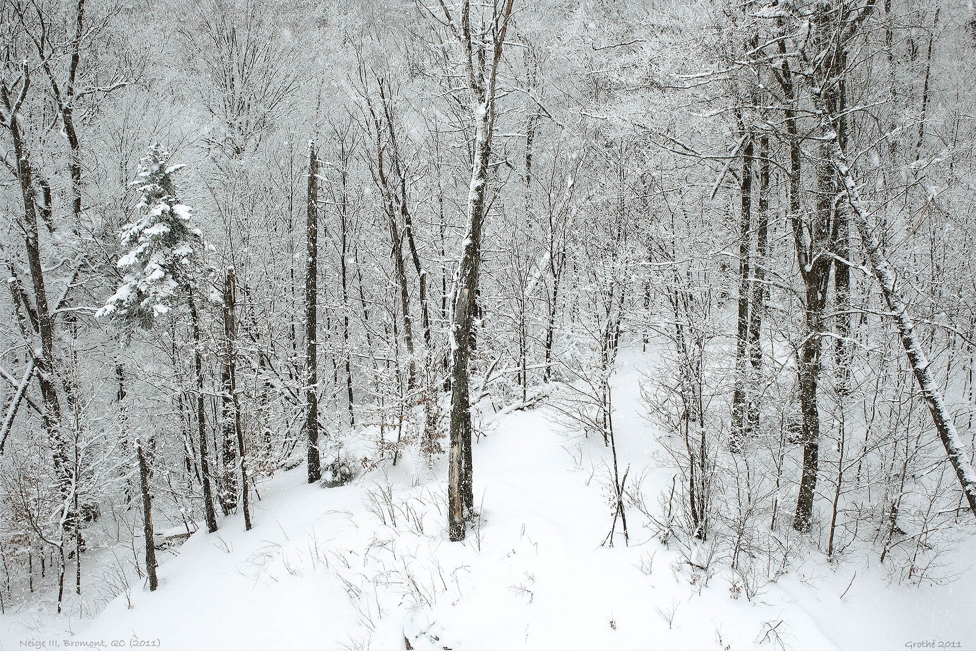 Neige III, Bromont, QC (2011)