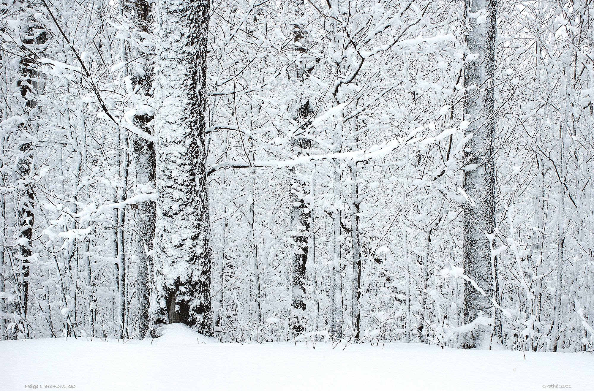 Neige I, Bromont, QC (2011)