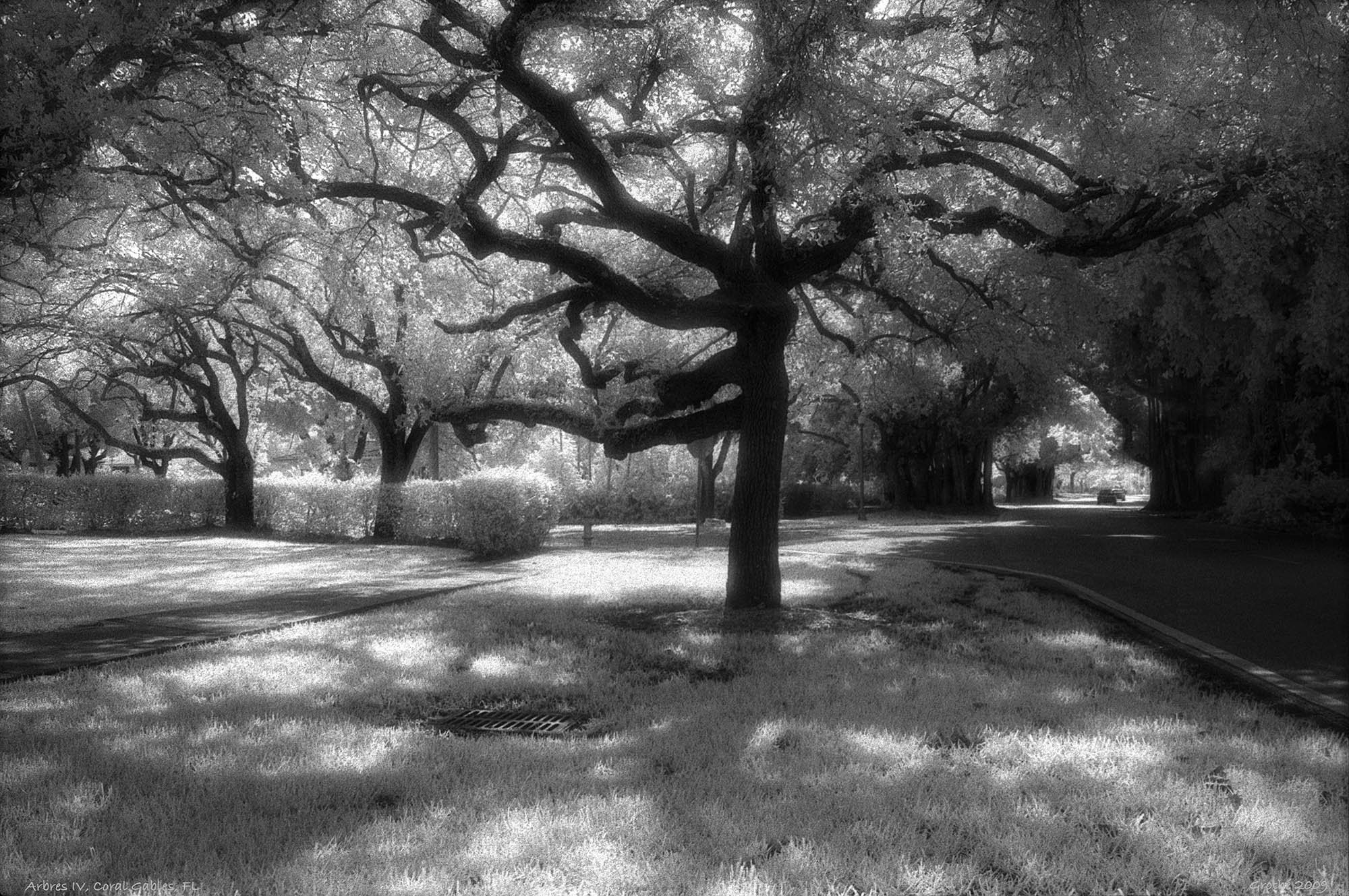 Arbres IV, Coral Gables, FL 