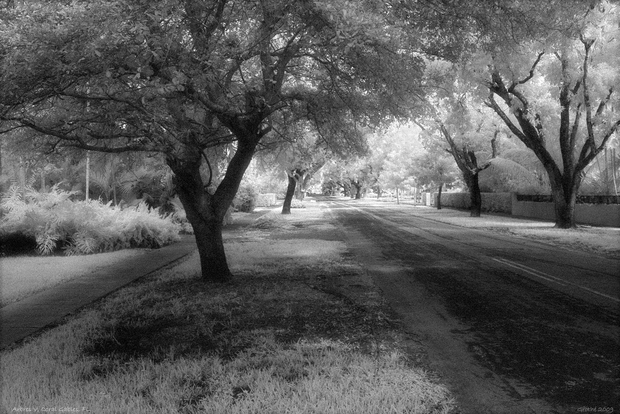 Arbres V, Coral Gables, FL