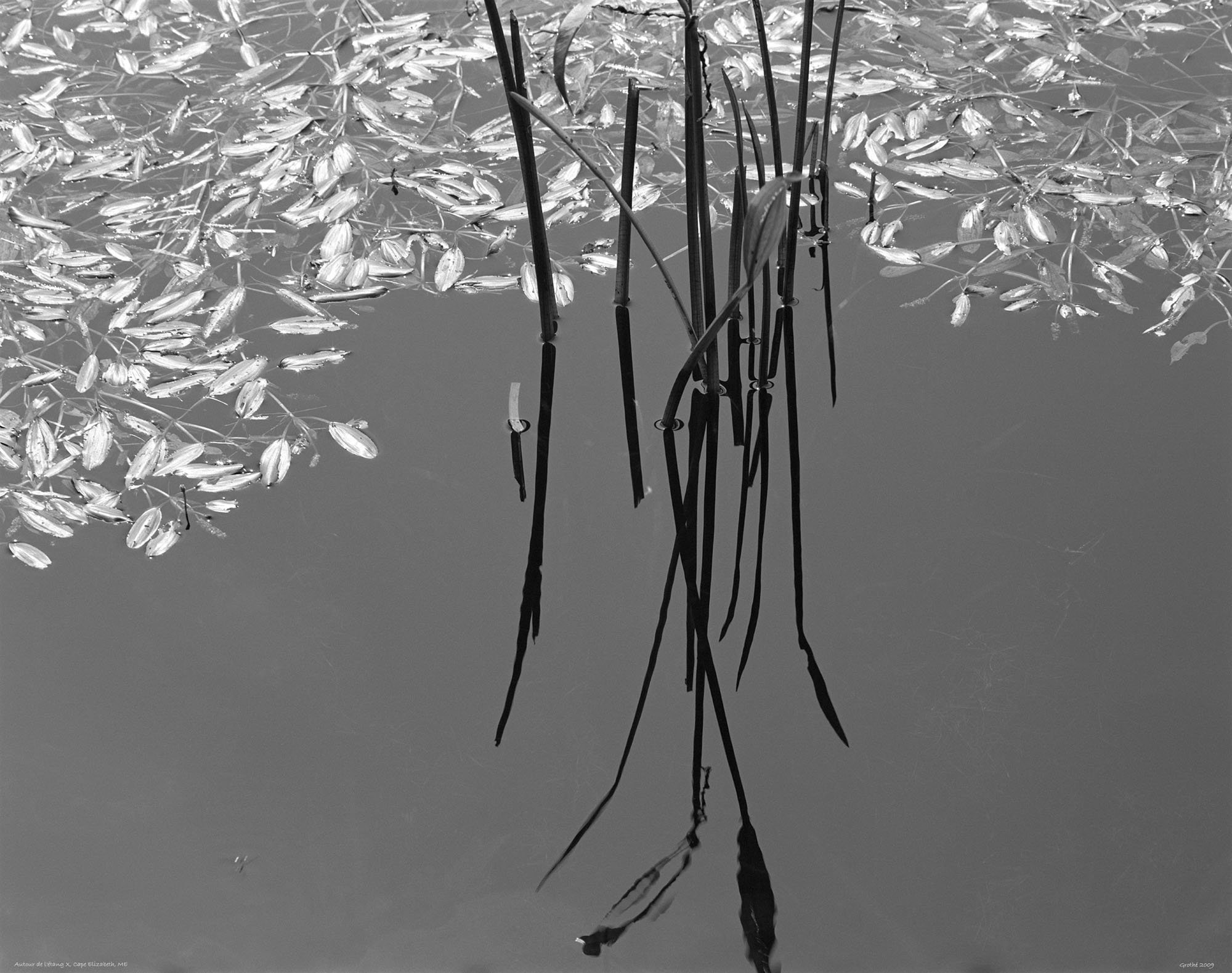 Autour de l'étang X, Cape Elizabeth, ME (2009) copie 2.jpg