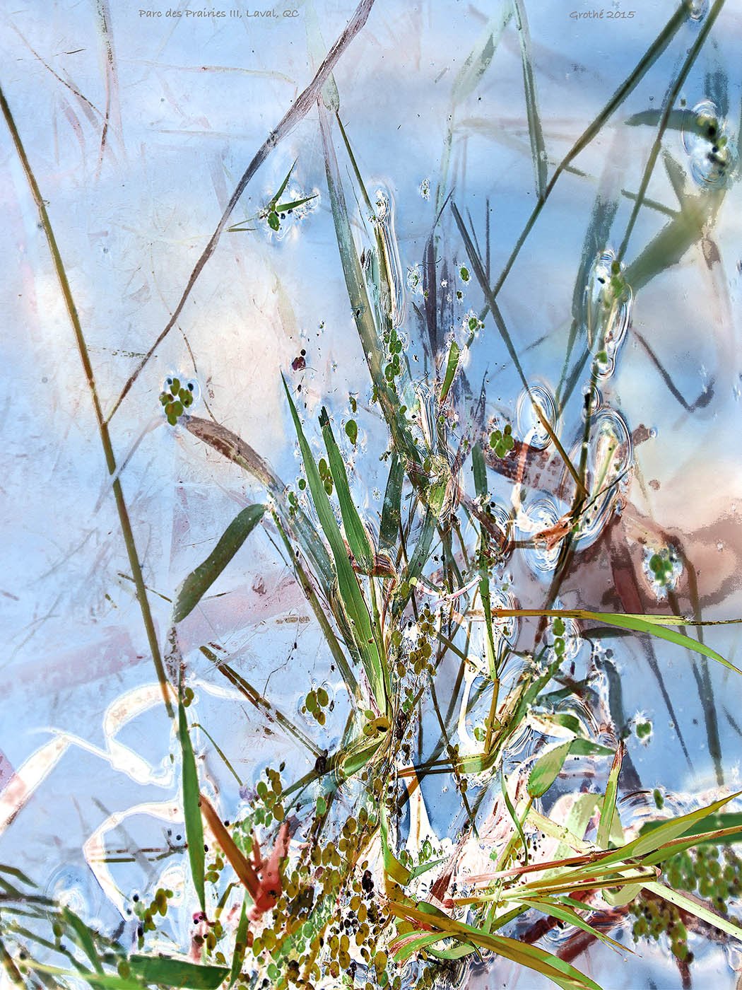 Parc des Prairies III, Laval, QC (2016)