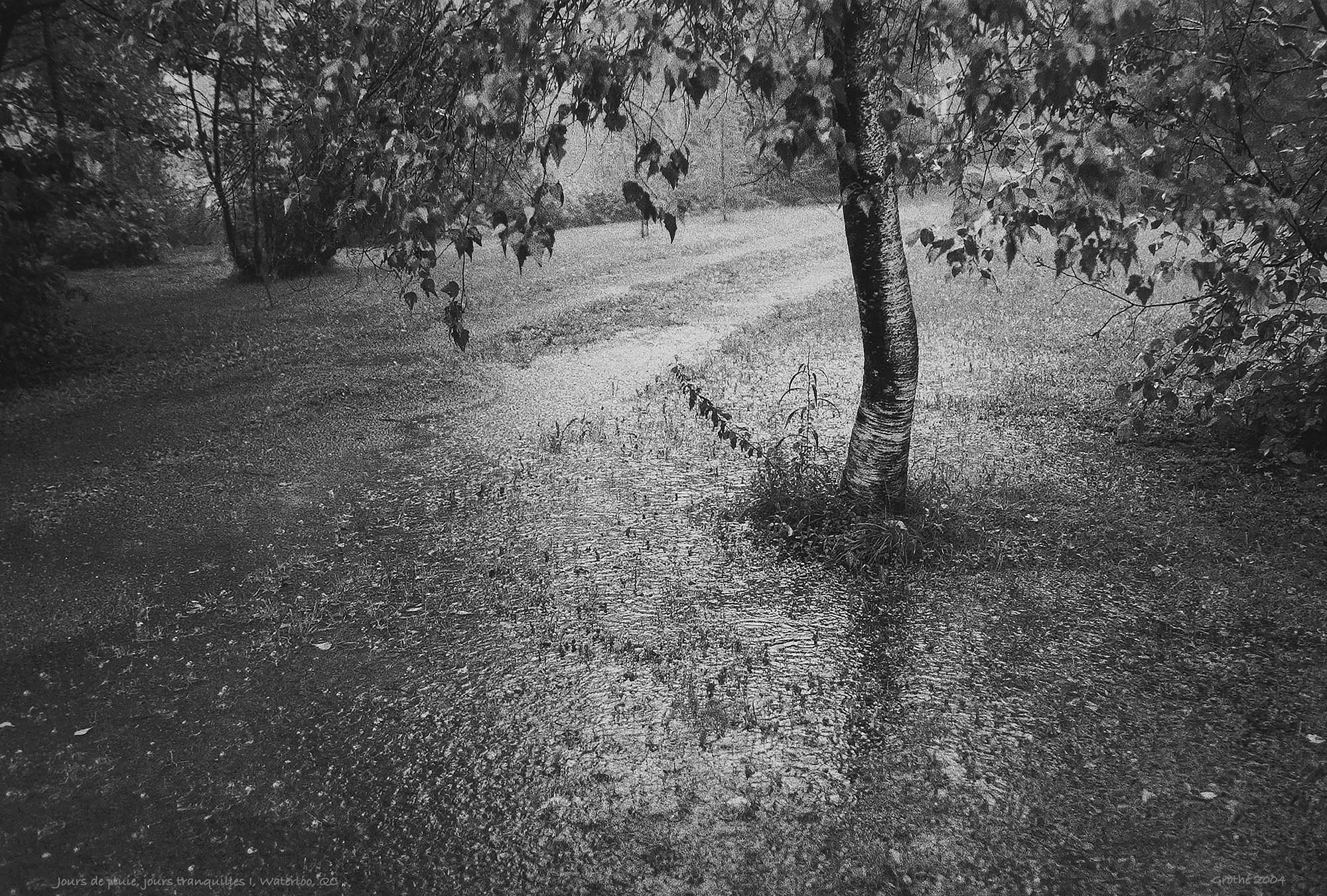 Jours de pluie, jours tranquilles I, Waterloo, QC (2004)