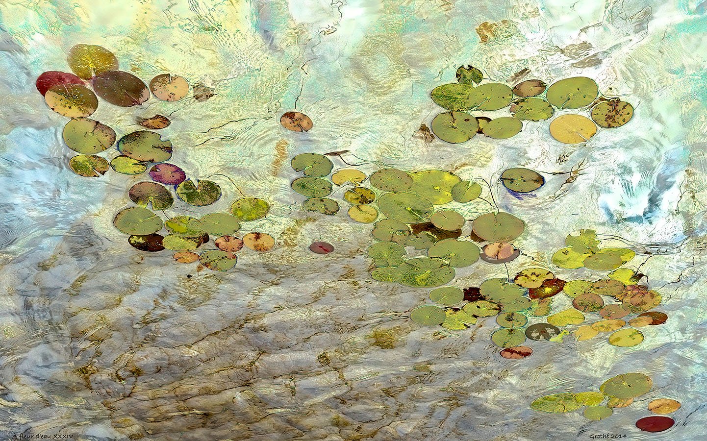 À fleur d'eau XXXIV, Lac Pilon, QC (2014)