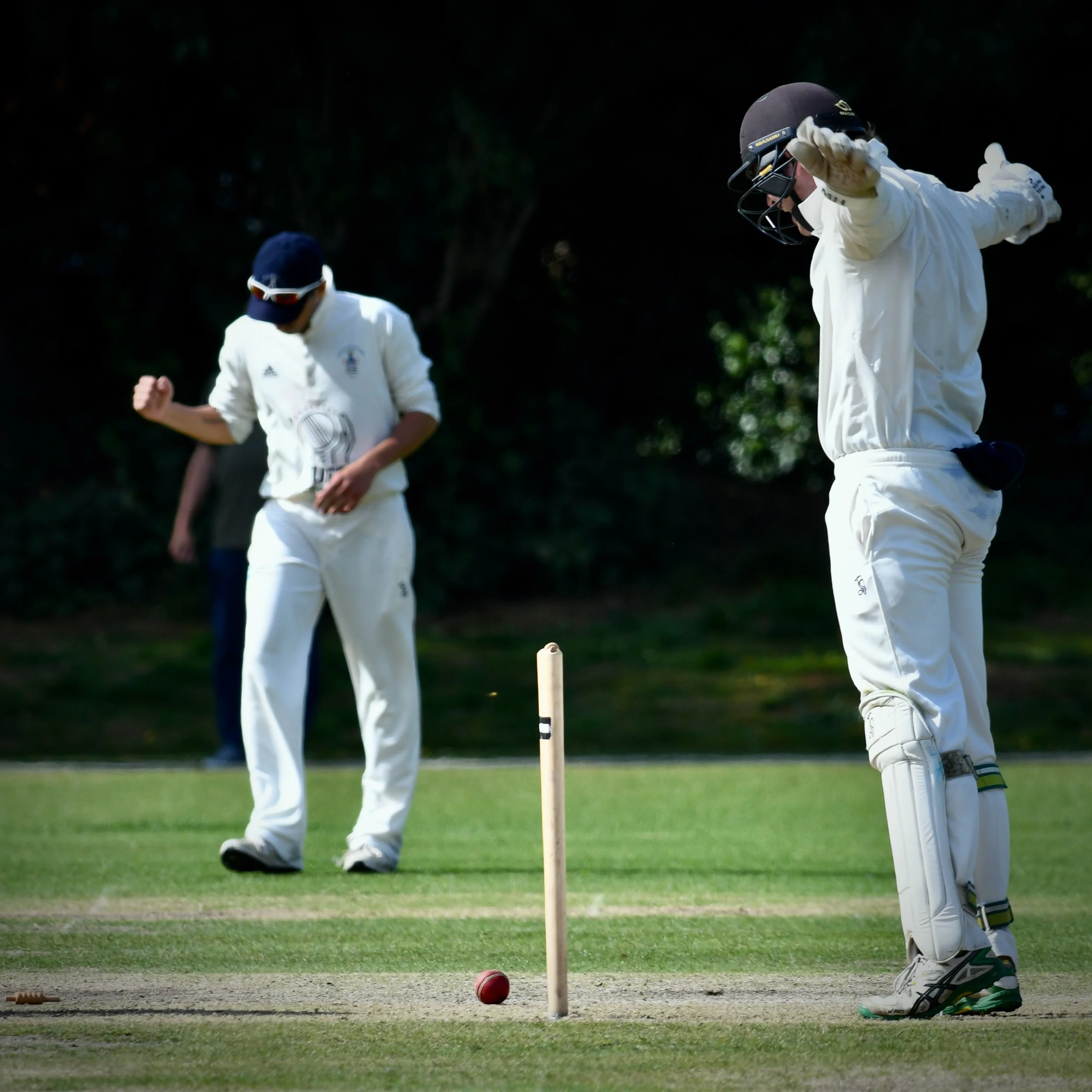 Annual Senior Membership