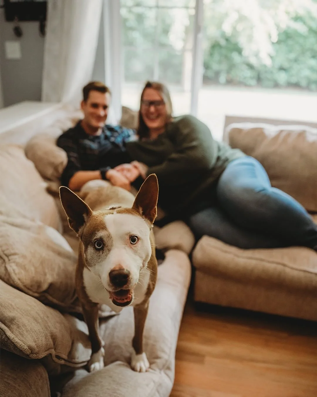 The sweetest pup ❤️

#dog #dogsofinstagram #lifestylesession #mansbestfriend #doglife #cat #catsofinstgram #catsanddogs #family #washingtonlifestlyephotographer #washingtonfamilyphotographer