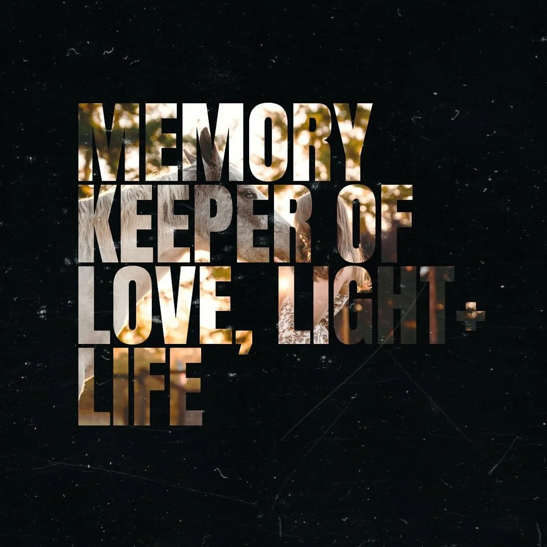 There&rsquo;s so much more to capturing a moment than simply pointing and shooting. It&rsquo;s about:

&ndash; guiding and prompting naturally
&ndash; finding the right lighting and positioning
&ndash; planning ahead for the best location and conditi