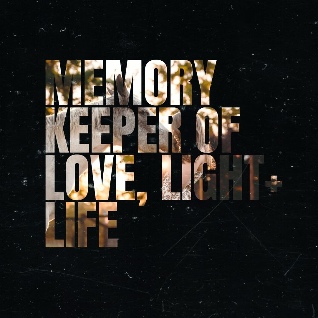 There&rsquo;s so much more to capturing a moment than simply pointing and shooting. It&rsquo;s about:

&ndash; guiding and prompting naturally
&ndash; finding the right lighting and positioning
&ndash; planning ahead for the best location and conditi