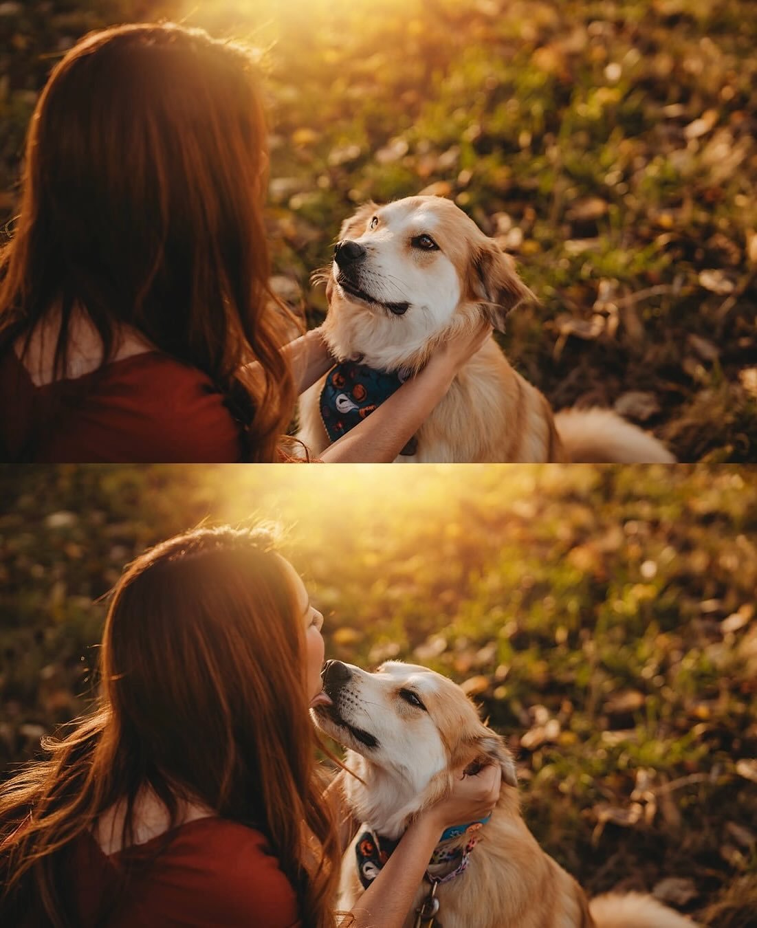 Michelle + Layla 💛🌞🐕 💫 

#golden #dogsofinstagram #adopted #bestdog #bestfriend #bestpup #dogs #dogphotography #caninephotography #familyphoto #familyphotographer