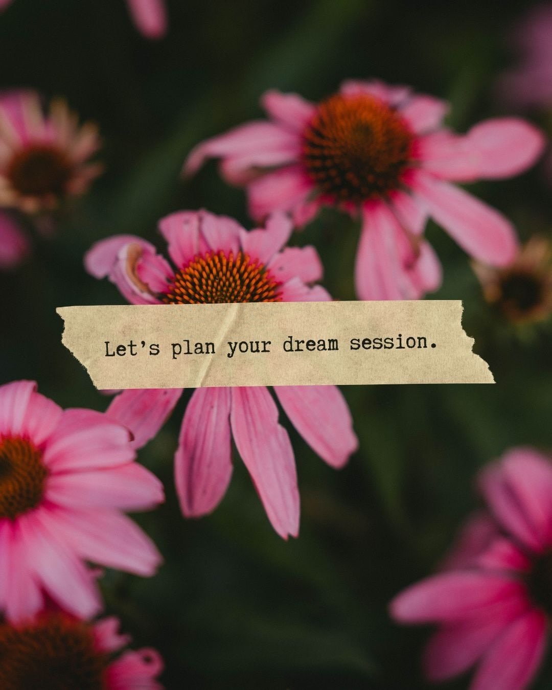 Let&rsquo;s plan your dream session ✨ If you could choose ANY setting for your photos, what would it be?

🌼 A wildflower field
🌊 A creek or beach
⛰️ Somewhere in the mountains
🏡 Cozy at home
🌿 Somewhere adventurous
🍂 WILD fall colors
🌅 An open 