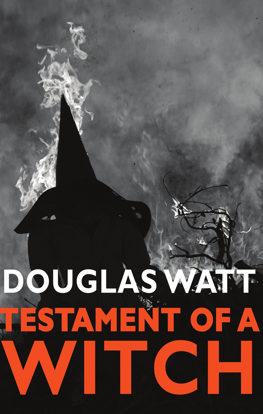 Testament+of+a+Witch+reprint+Luath Press.jpg