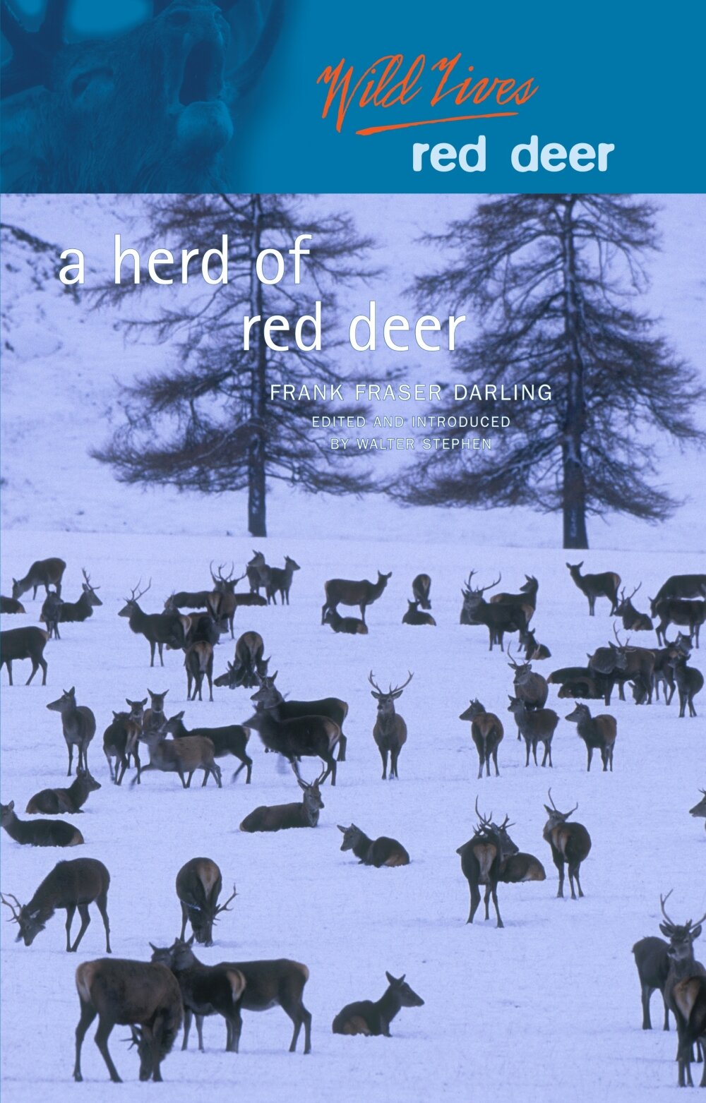Herd+of+Red+Deer Luath Press.jpg