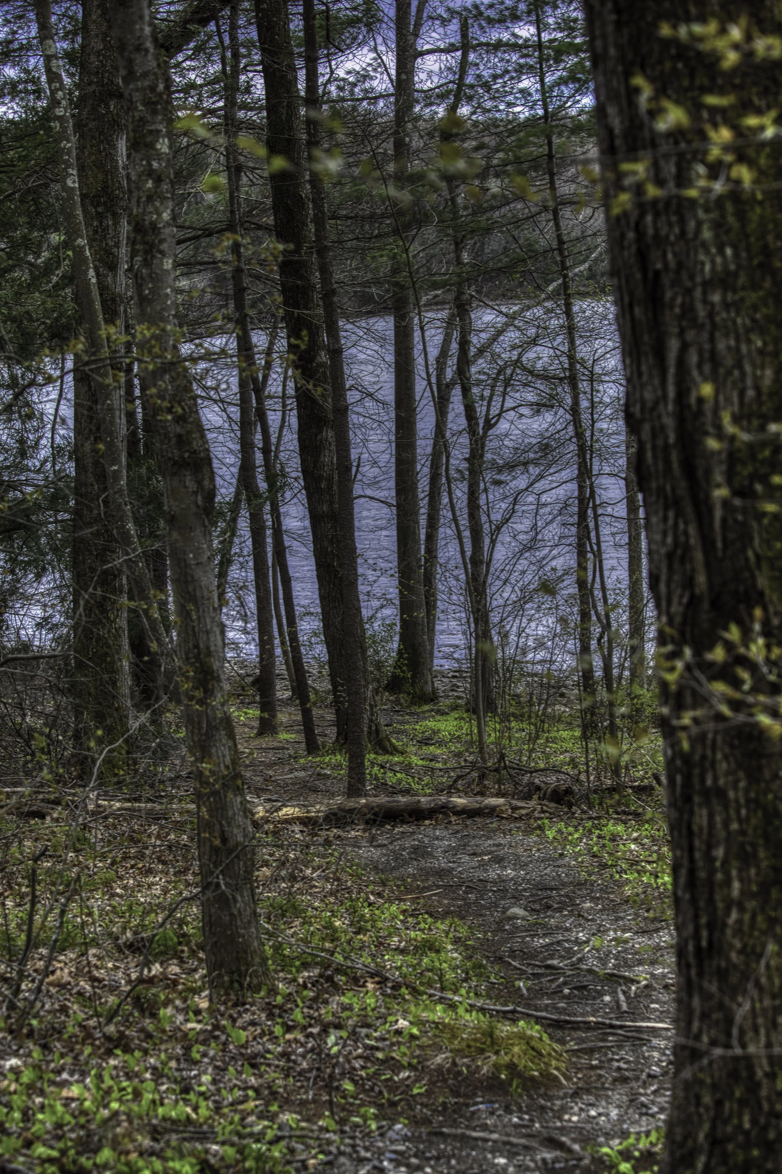 trail 1.jpeg