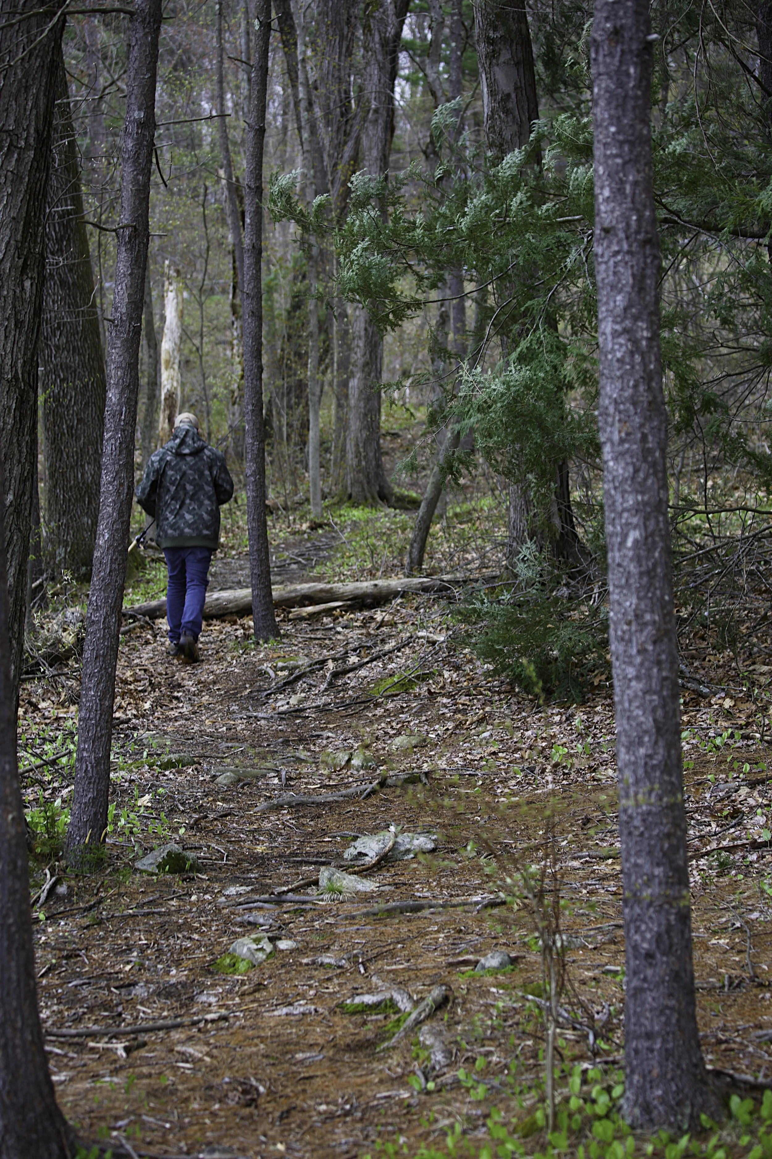 trail 3.jpeg
