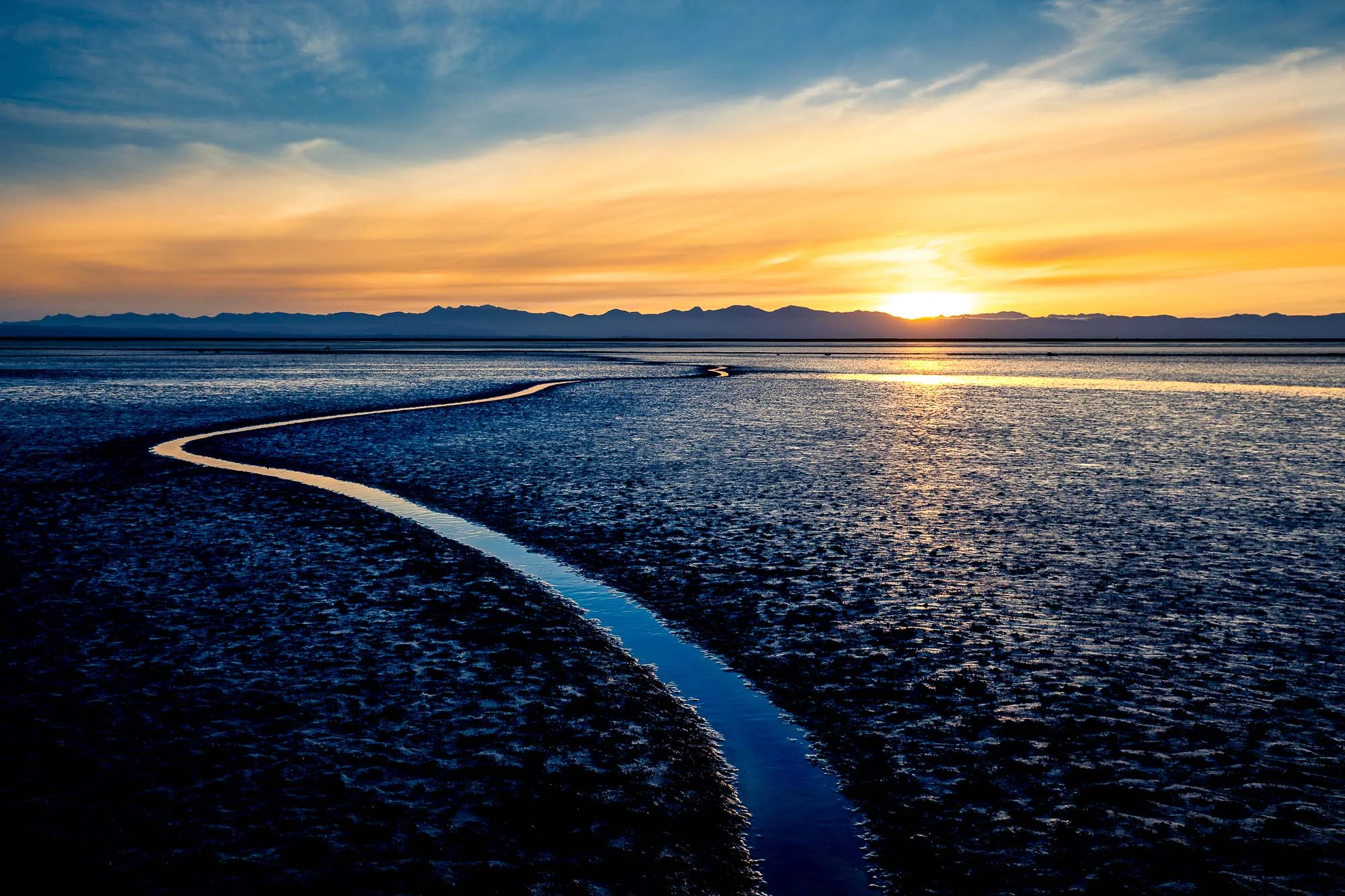 Landscape-5.JPG
