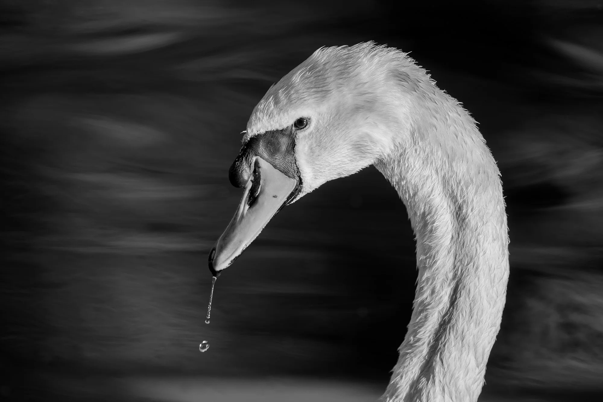 Moments-63.JPG