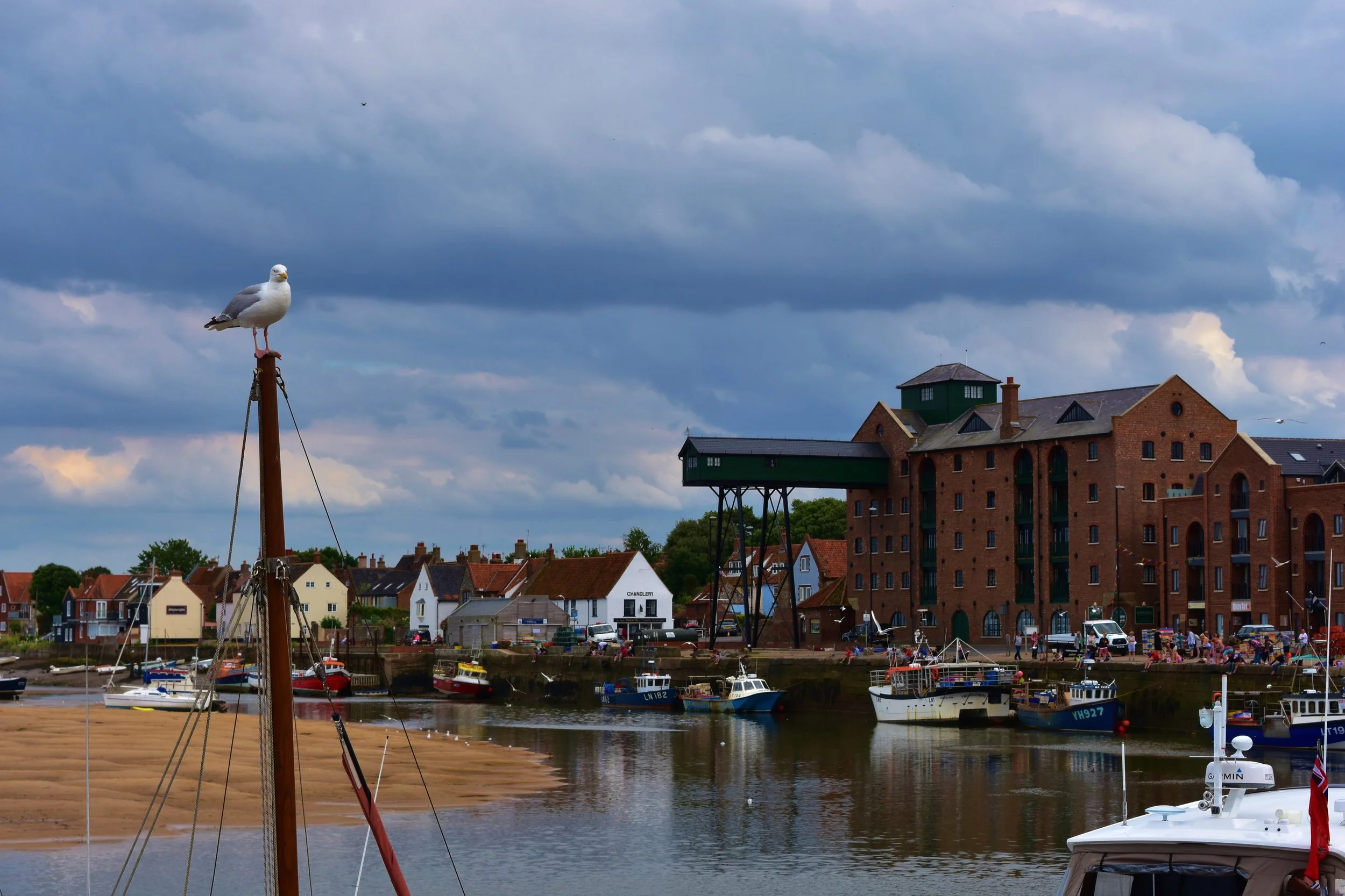 DSC_3499.JPG