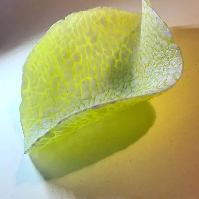 2 views of this organic shape. Indoors and outdoors. #irenefunnell.com #tywivalleyopenstudios #organicglass