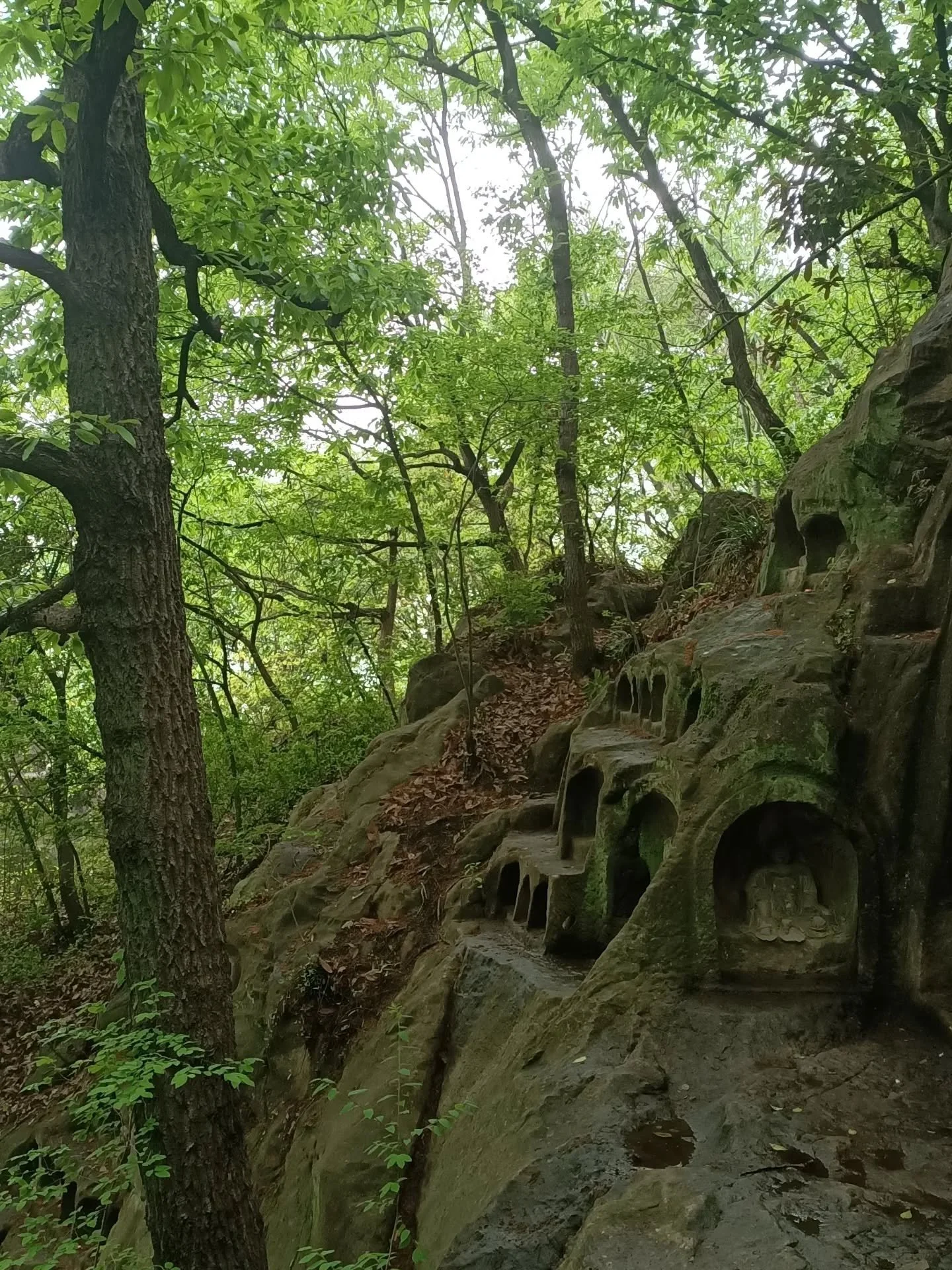 Qixia Mountain, Thousand Buddha Cliff ⛰️

Lovely day with @ngwinyi
