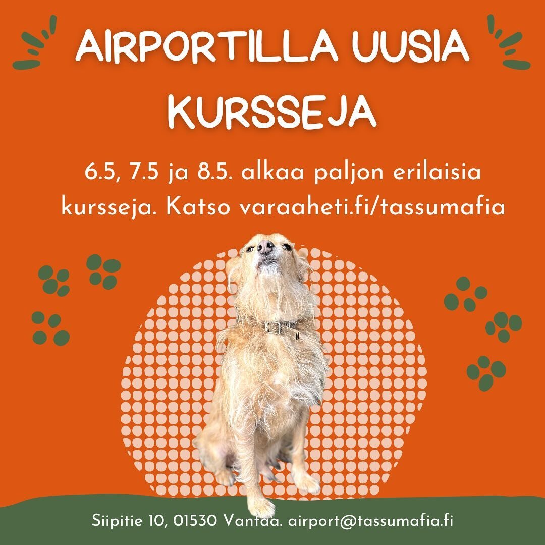 Paljon uusia kursseja julkaistu! Valikoimassa mm. Pentukurssi, hienosti hihnassa, harrastekoiran peruskurssi, rally-tokoa ja Nose Workin alkeita! Tervetuloa mukaan 🤩

Varaaheti.fi/tassumafia