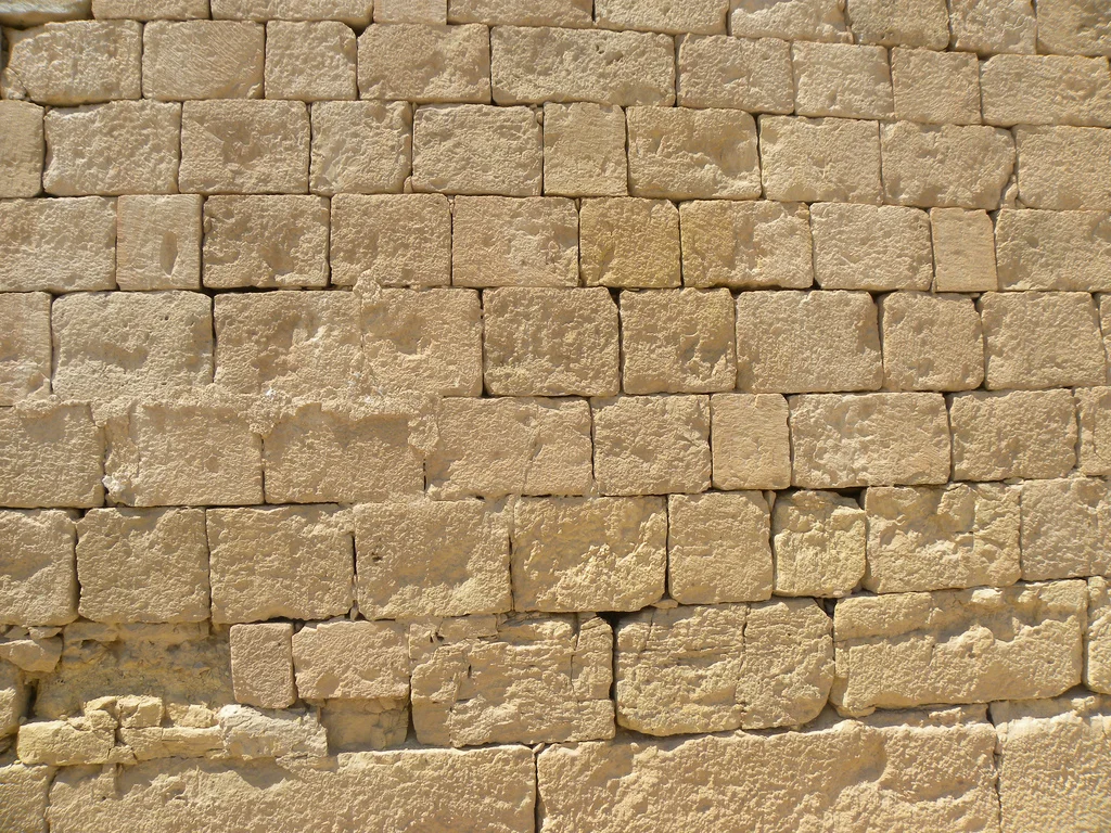 Romm_Photo.jpg