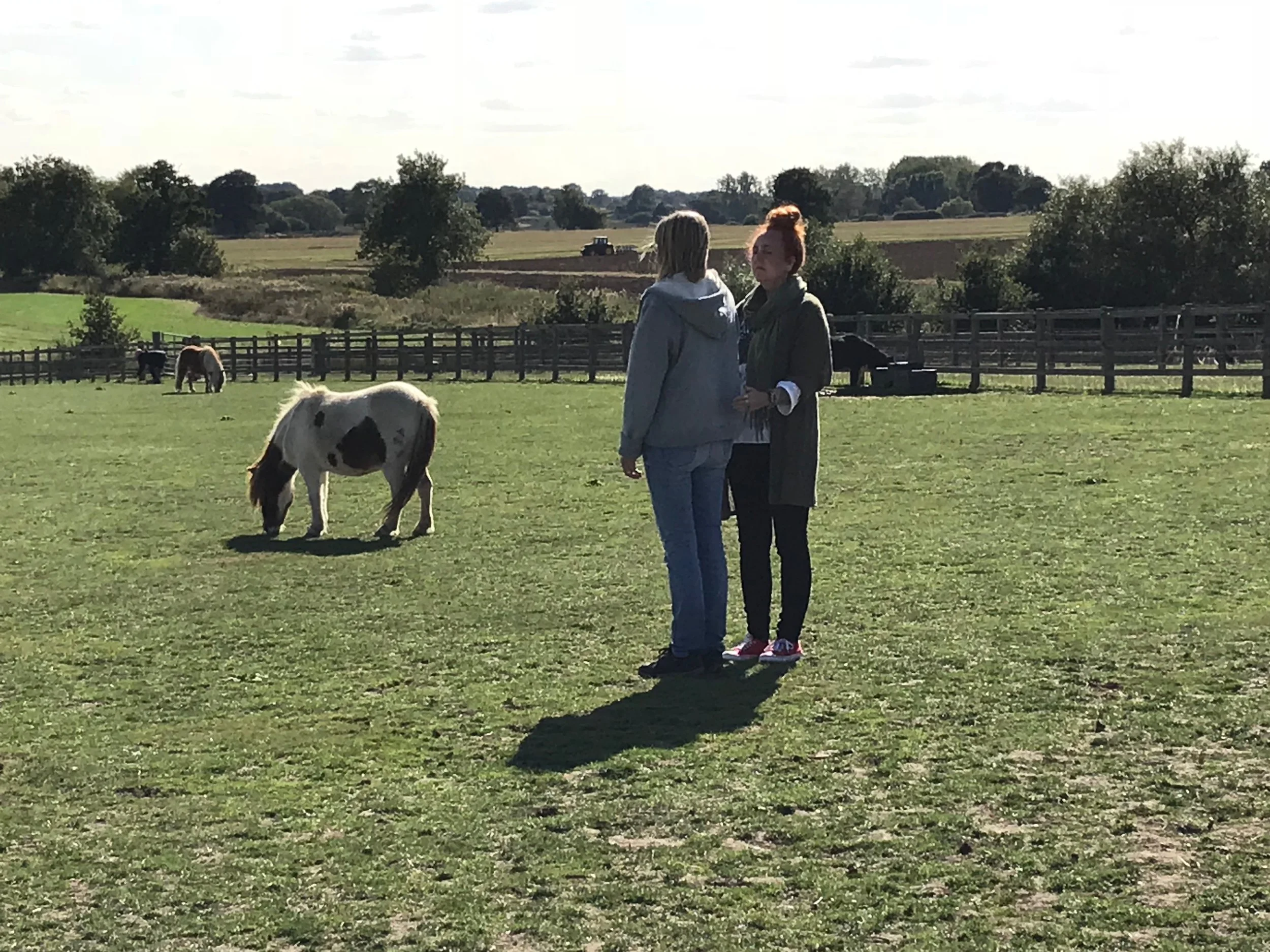 Remus Memorial Horse Sanctuary
