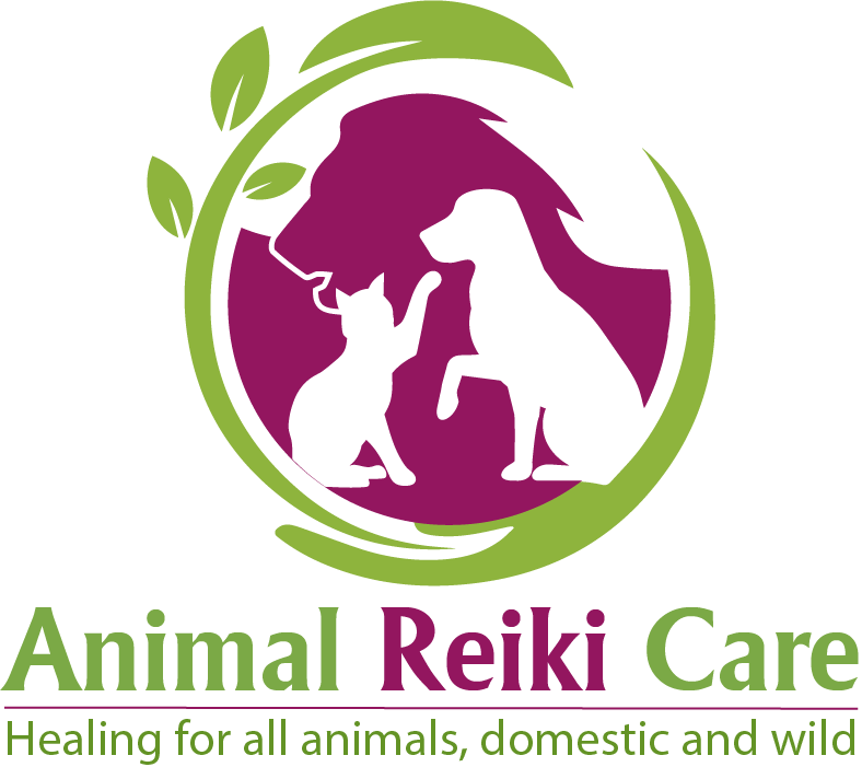 Animal Reiki Care