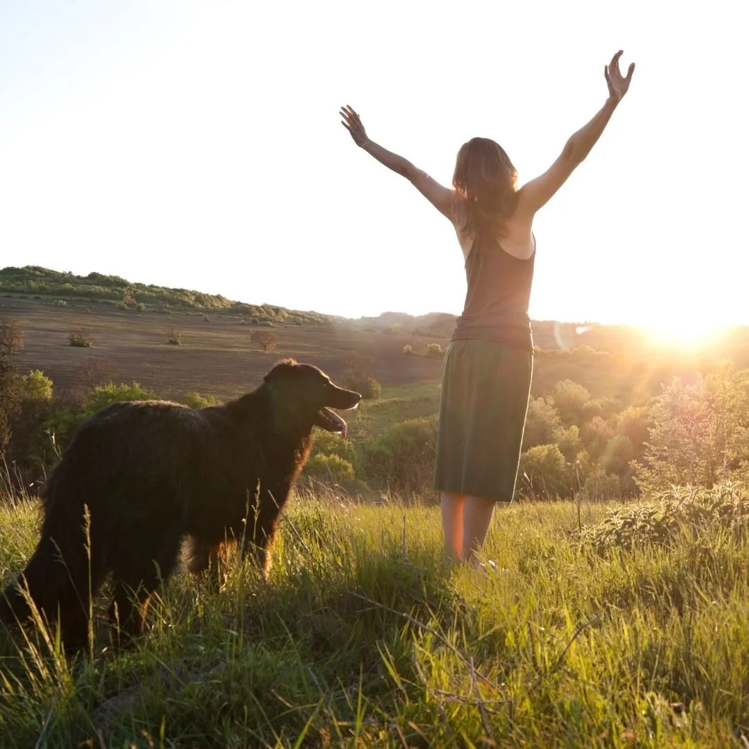 The Power of Gratitude