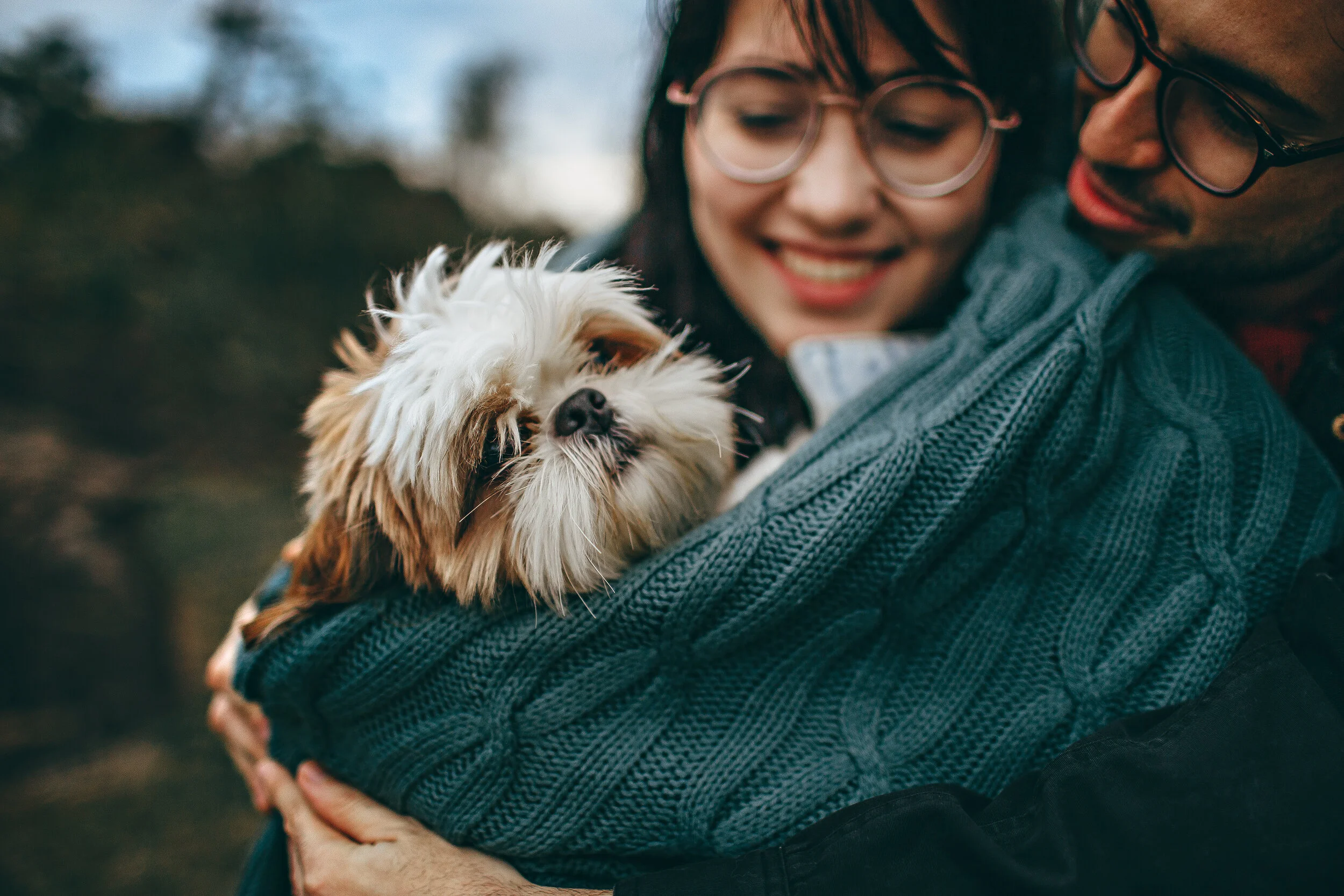 Help your new adopted pet with Animal Reiki