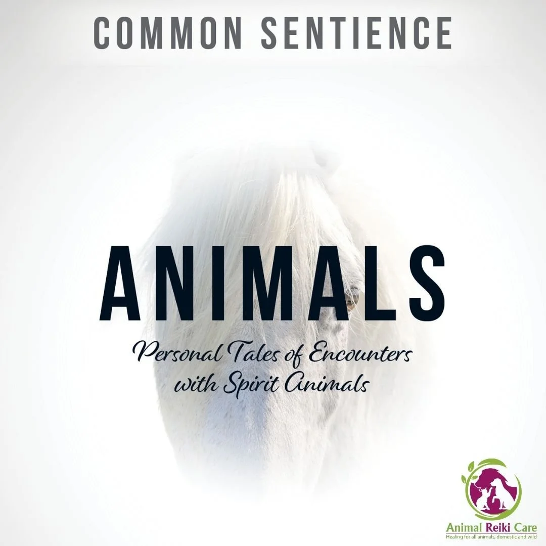 Animals - Personal Tales