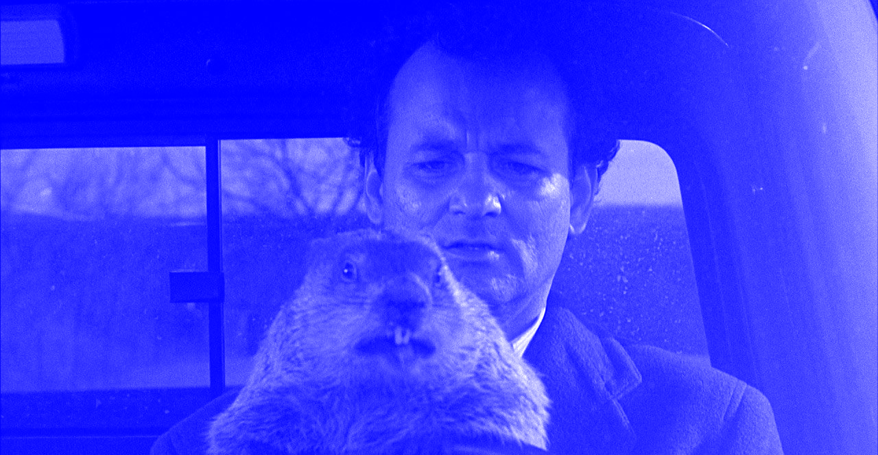 groundhog-day.png