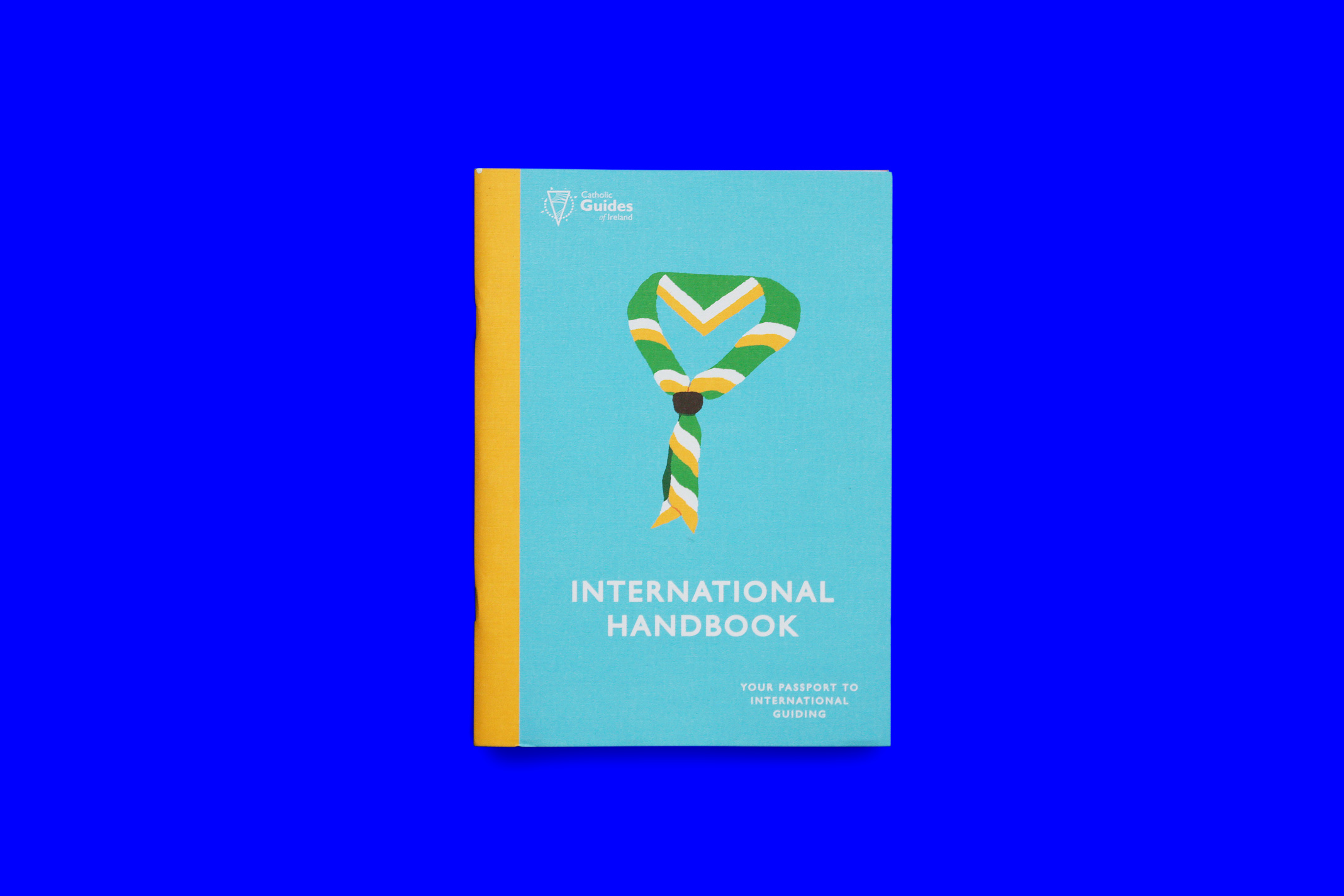 CGI-International-Handbook-Cover.jpg