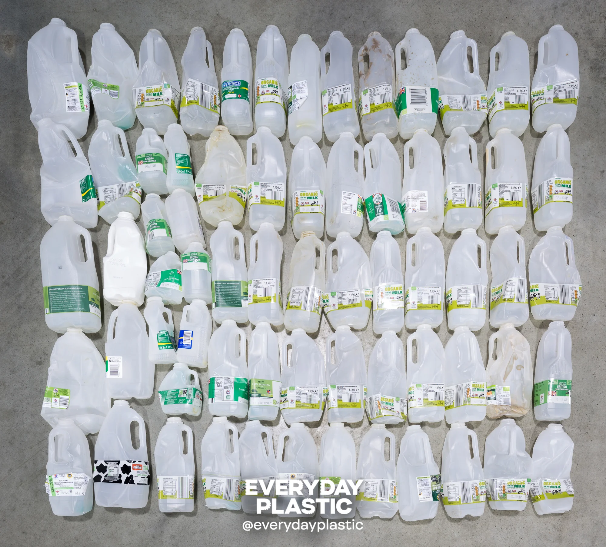 Milk bottles.jpg