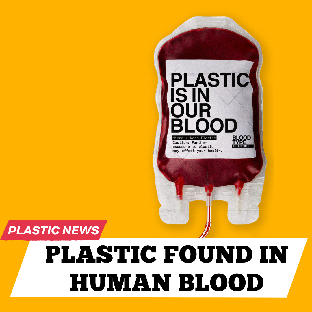 Plastic in human blood2.png