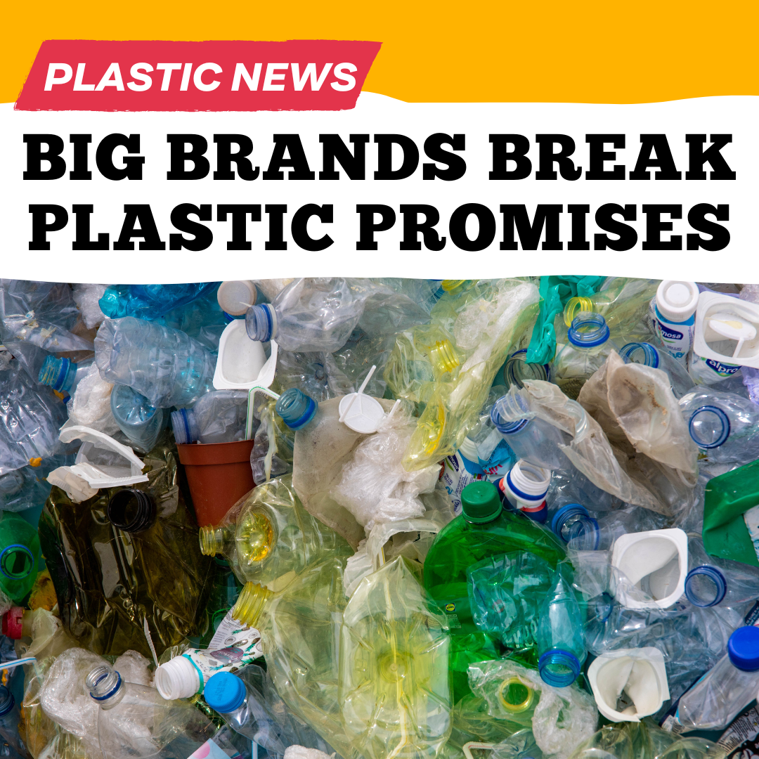 Big brands break plastic promises.png