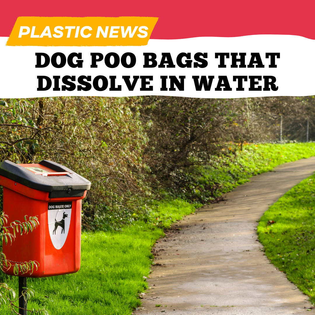 Dog poo bags that dissolve in water.png