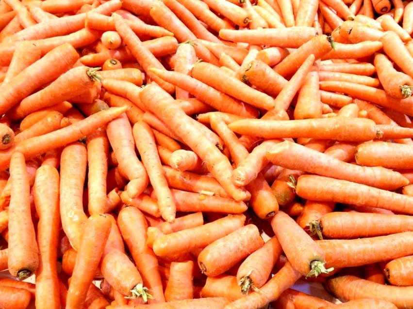 carrots.jpg