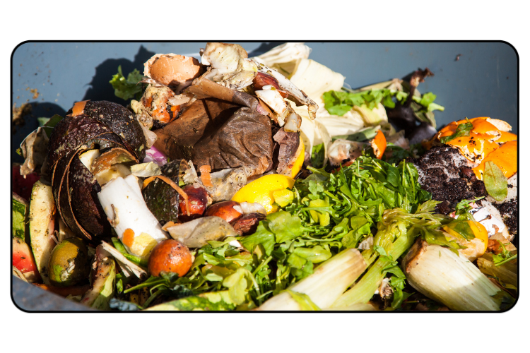  Fruit &amp; veg accounts for half of the 2.5bn tonnes of food waste