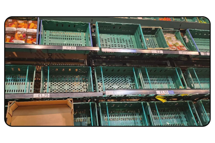 Our response to the Spring 2023 empty shelves issue