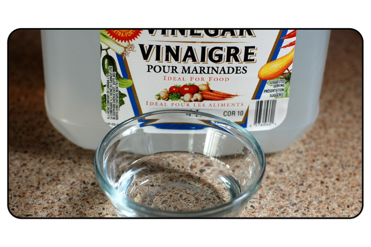 Magical vinegar tricks