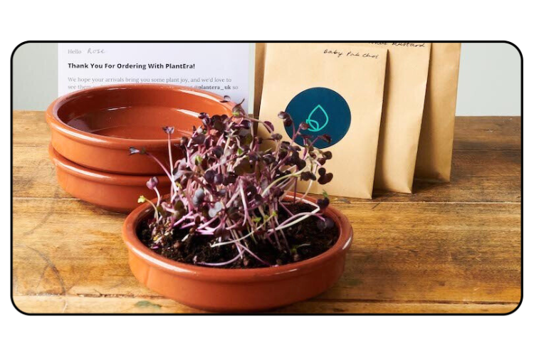 3 reasons to start growing microgreens today 
