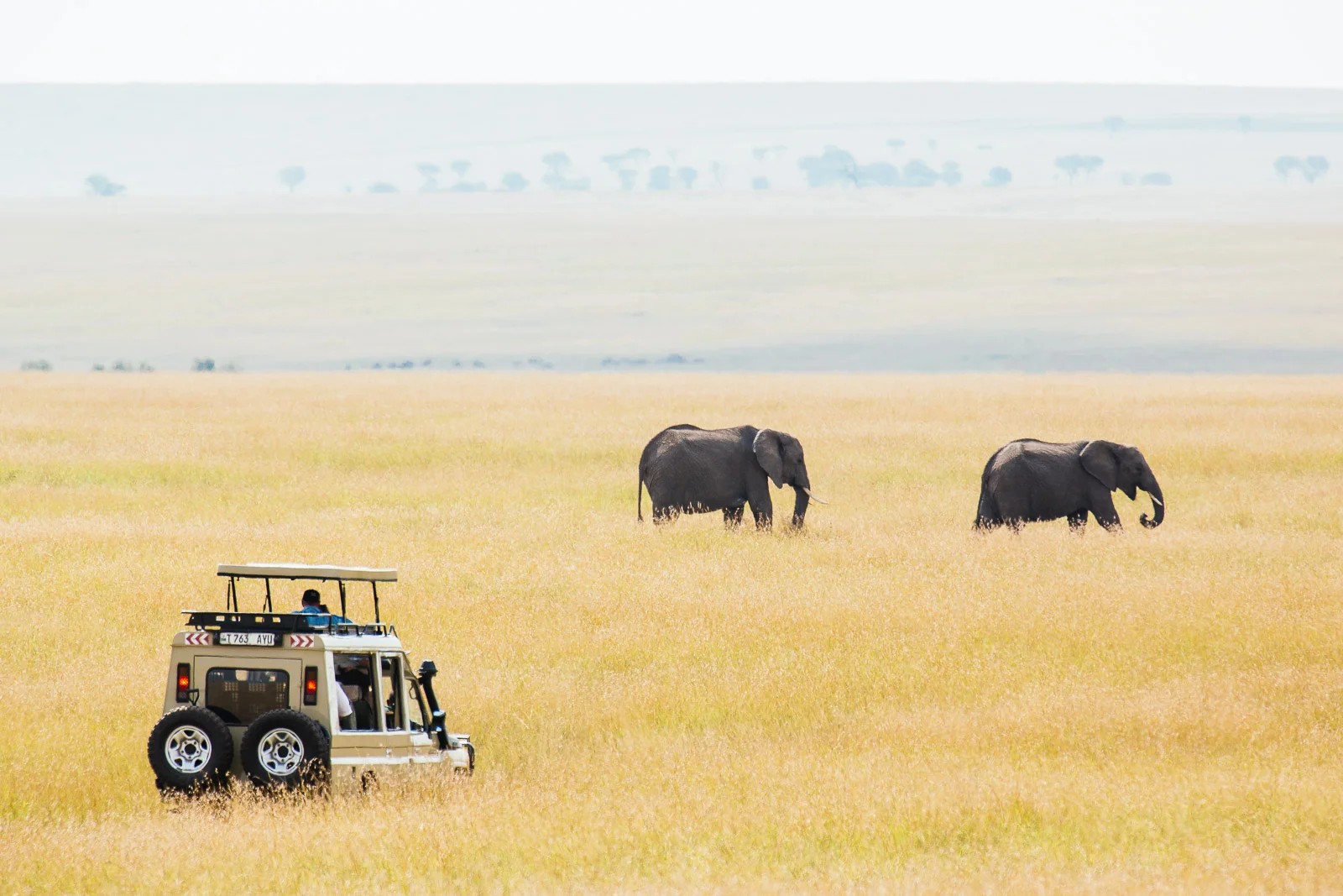 tanzania-africa-travel-photos-adventure-safari-2.jpg