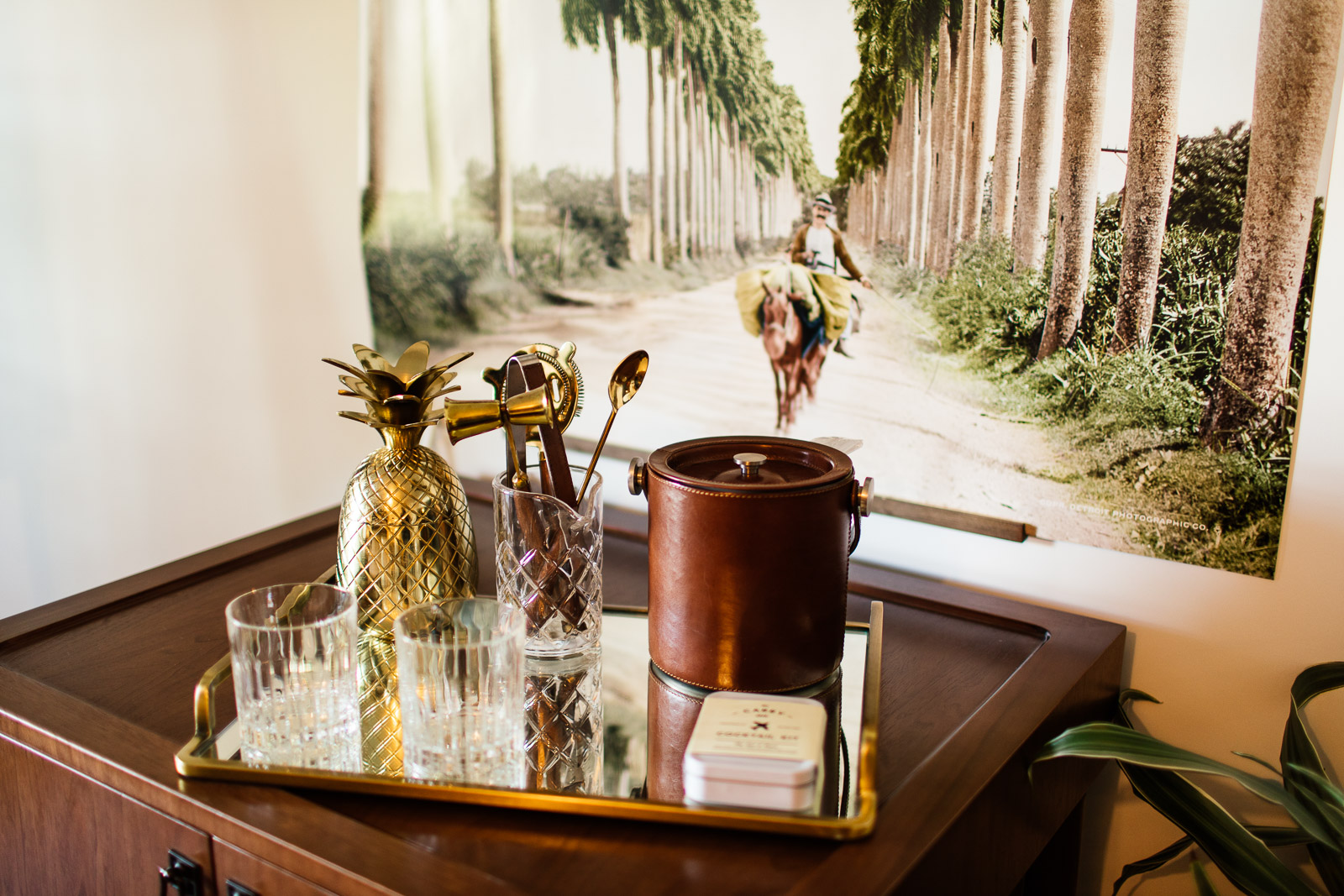 the-scott-resort-tanveer-badal-0214.jpg